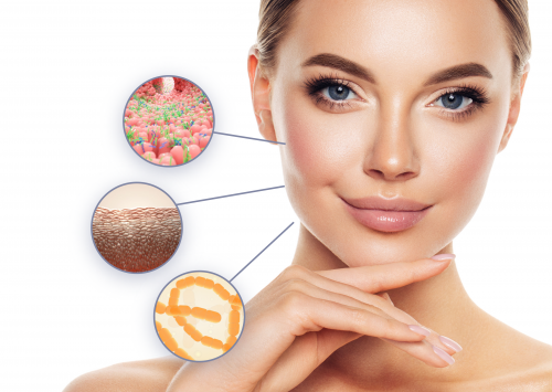 Химичен пилинг Probiome Peel на SKEYNDOR